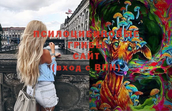 ПСИЛОЦИБИНОВЫЕ ГРИБЫ Арсеньев