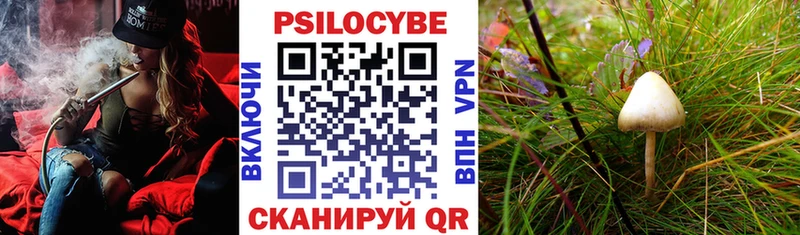 Псилоцибиновые грибы GOLDEN TEACHER  МЕГА   Игарка  купить наркоту 